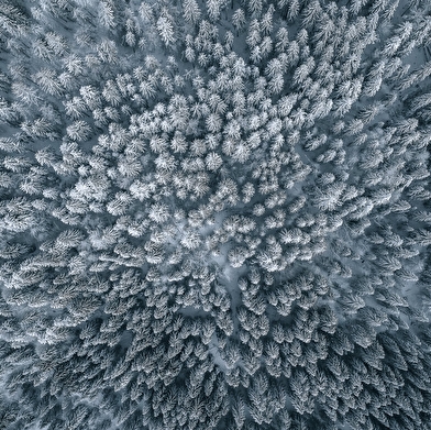 Office de Tourisme Haut-Jura Saint-Claude - La Pesse