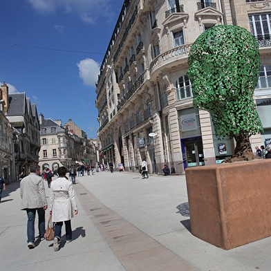Dijon Bourgogne Tourisme & Congrès