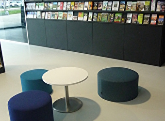 Office de Tourisme et de la Culture du pays d'Alésia et de la Seine - VENAREY-LES-LAUMES