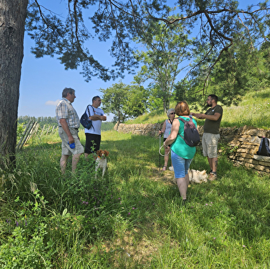Office de Tourisme du Pays Lédonien (Lons-le-Saunier)