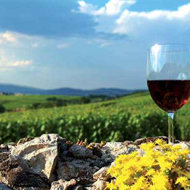 Office de Tourisme Mâcon Sud Bourgogne, Tourisme et Congrès
