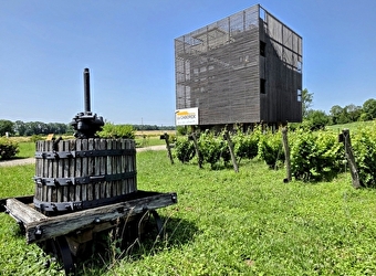 La Caborde - BEAUFORT-ORBAGNA