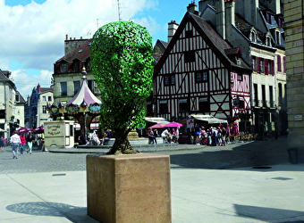 Dijon Bourgogne Tourisme & Congrès - DIJON
